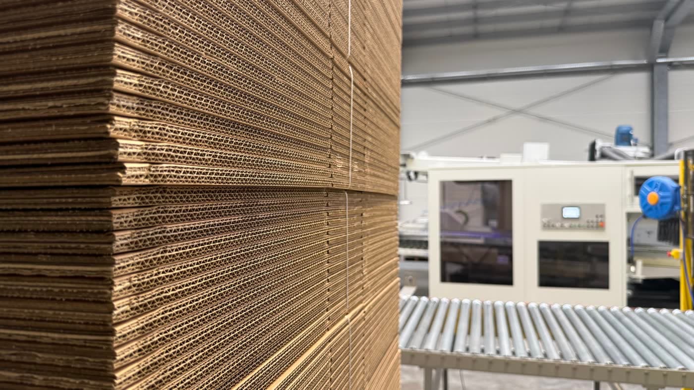 Close-up of a corrugated board cross-section
