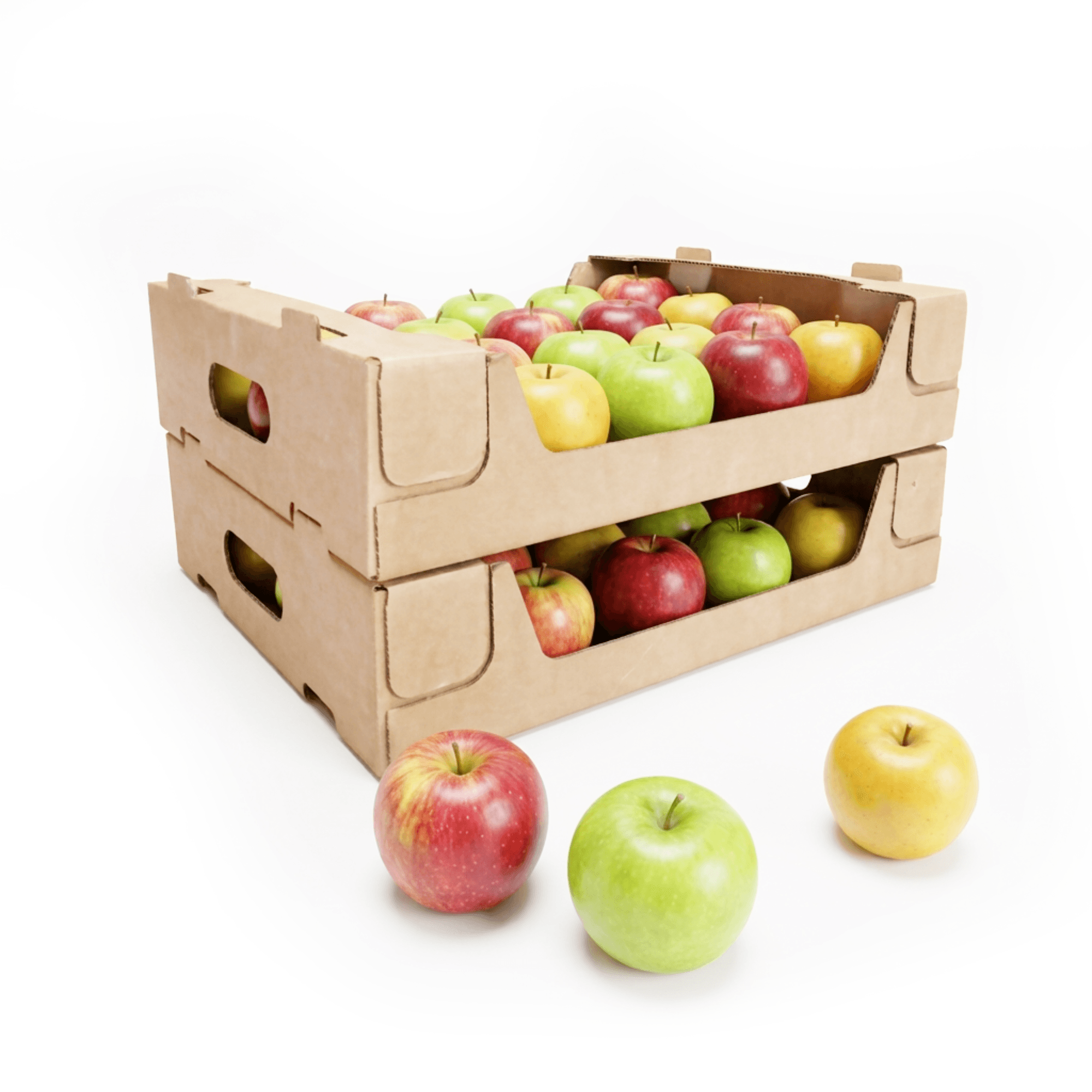 Cardboard trays
